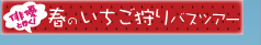 春のいちご狩りバスツアー